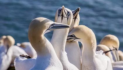 义乌2026年最新杭州高端商务伴游招聘网渠道分享(最方便真实的义乌茉莉伴游伴游天下全国联盟方法)