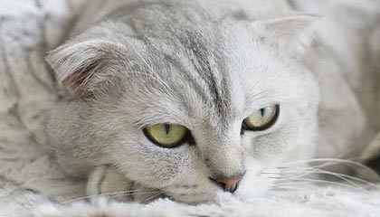 义乌2026年最新杭州高端商务伴游招聘网渠道分享(最方便真实的义乌茉莉伴游伴游天下全国联盟方法)