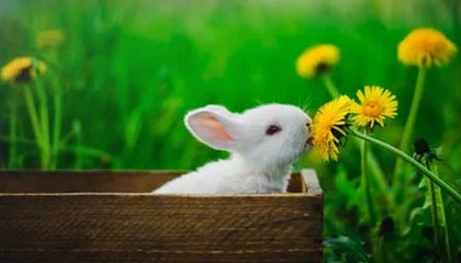 义乌2026年最新杭州高端商务伴游招聘网渠道分享(最方便真实的义乌茉莉伴游伴游天下全国联盟方法)